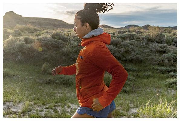 Private sales Patagonia