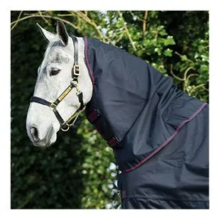 Amigo Insulator Plus Heavy 350g Fra Horseware