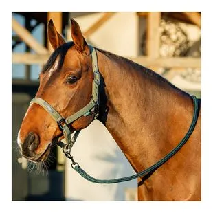 Couverture Cheval Rambo 69 Optimo – Doublure & Couvre-cou Bleu Imperméable (Occasion)