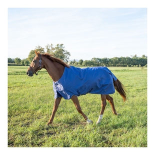 Horseware Couverture de paddock Horseware Turnout Standard Neck 900D 0