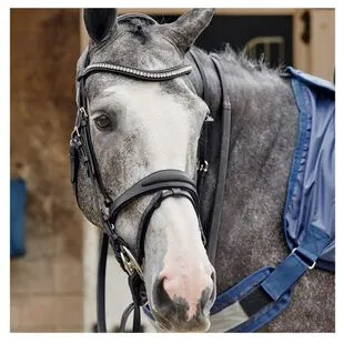 R462 John Whitaker Rastrick V2 Airflow Pferdedecke  Produktbild-Vorschau 7