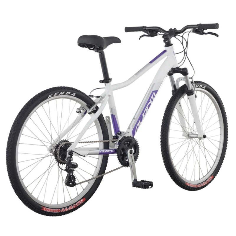 Avanti womens store bike