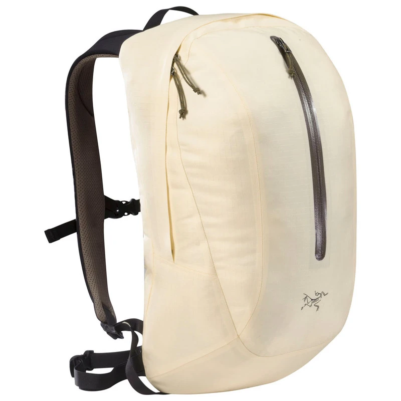 Arcteryx astri outlet