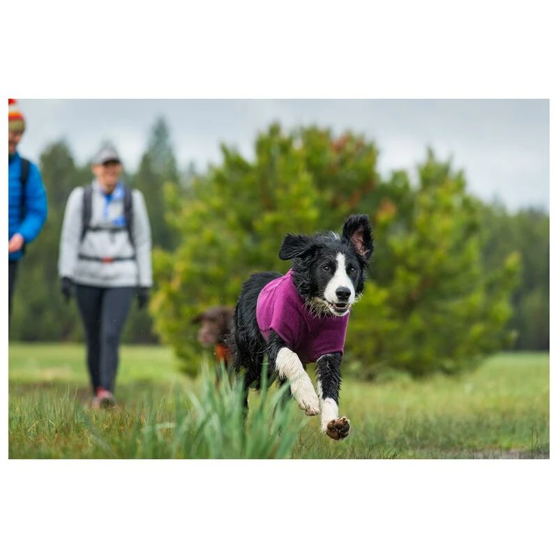 Ruffwear fernie deals dog sweater