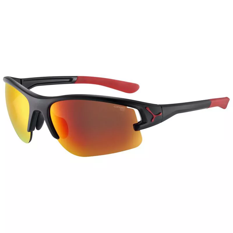 Cebe cheap koala sunglasses