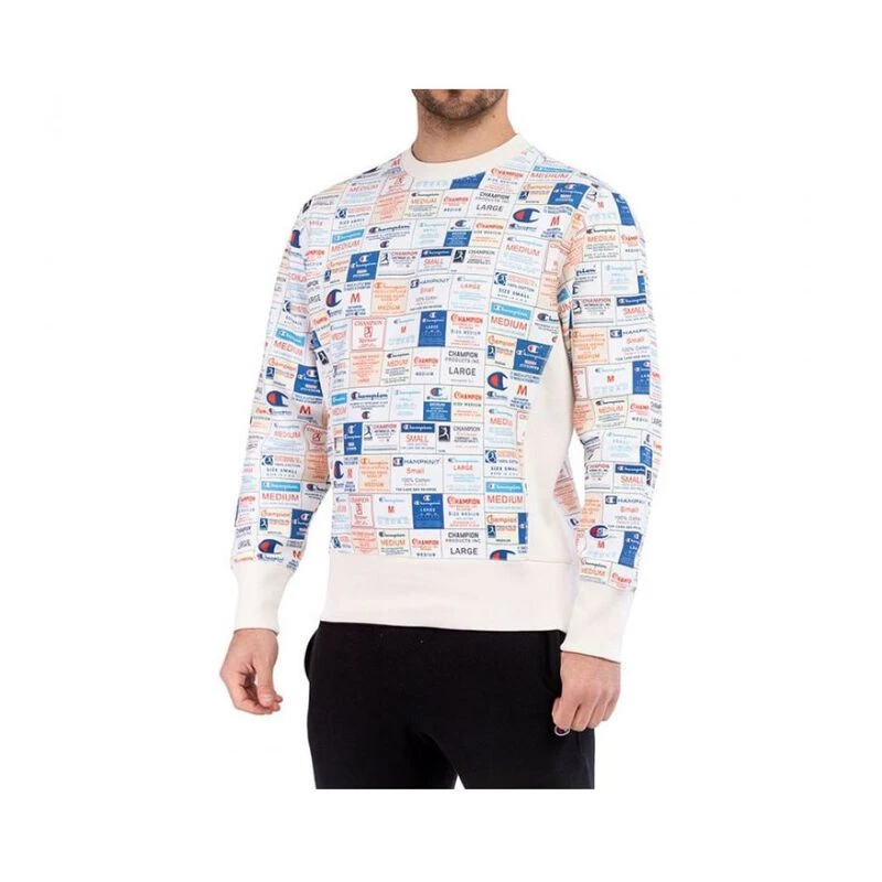 Pull champion homme gris best sale