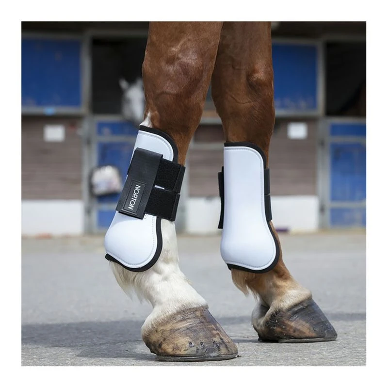 Norton pro tendon boots outlet