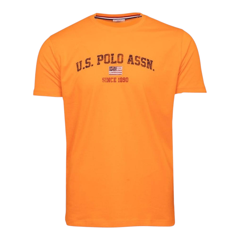 T-SHIRT A V GUESS UOMO TINTA UNITA