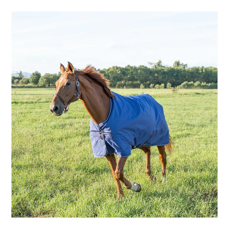 Horses, Couverture De Paddock Pour Cheval Turnout Full Neck