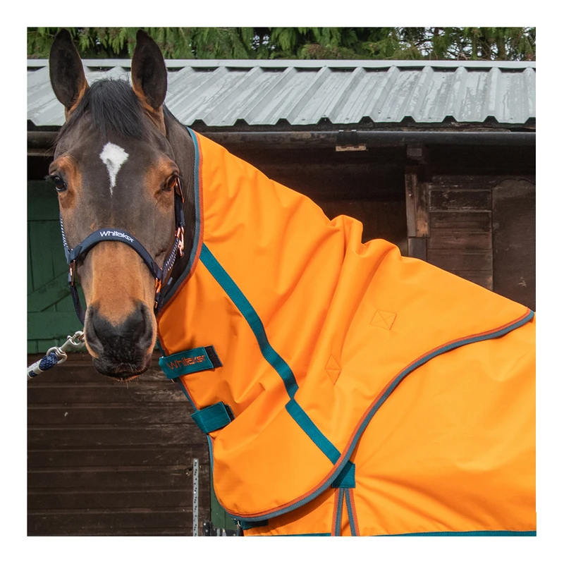 TAPIS PADDOCK SPORT PREM'S - Écurie Naveil Équitation - Noir - 20474