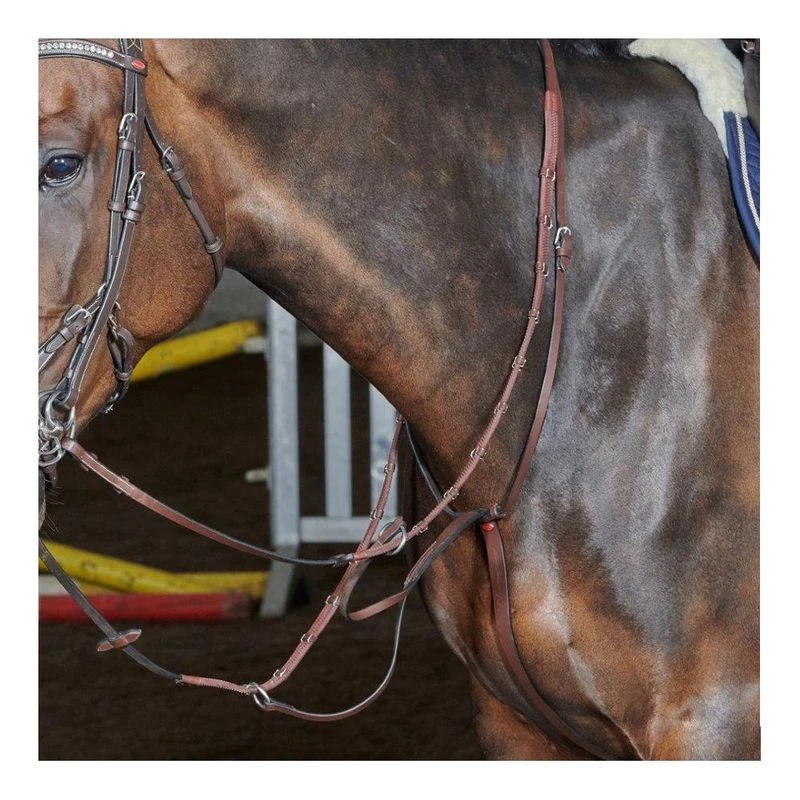 Martingale De Course Whitaker Barton - Cuir Noir Ou Marron - Taille Cob / Full - Neuf