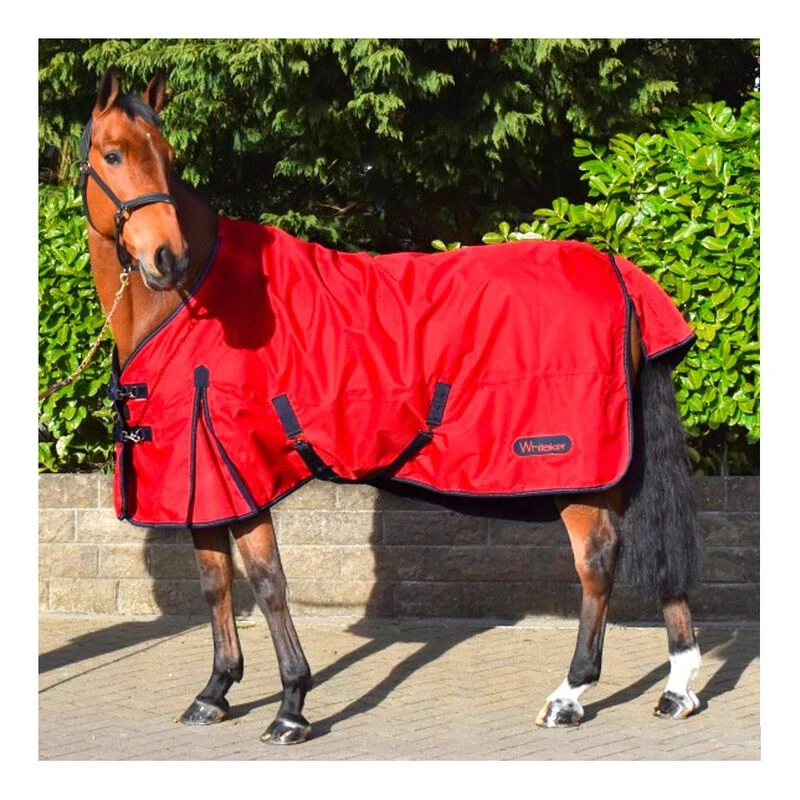 Tapis d'aiguillage été col fixe combiné Shires Tempest 100 g moyen léger | eBay