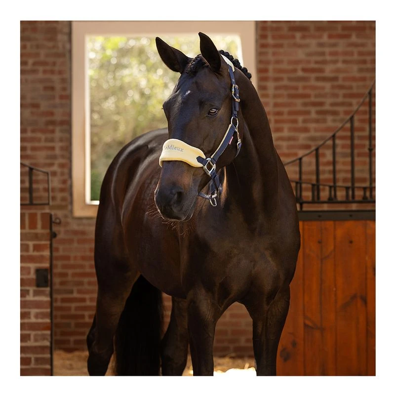 Licol Mouton Vogue Mini LeMieux Avec Longe Pour Cheval