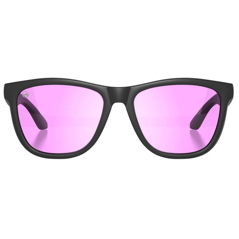 Ray-Ban Dean Women's Polarized Sunglasses 4 Options Purple Tortoise Orange  50 mm - Polarized World