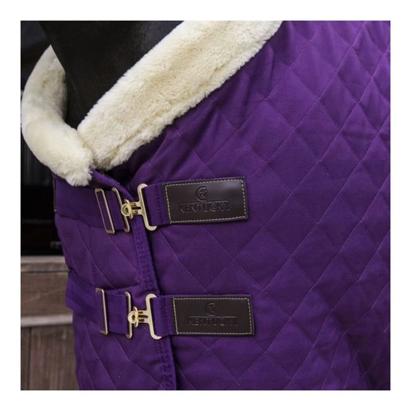 Kentucky Horsewear - Couverture De Box Présentation 160G Violet Royal - Myver Sellerie