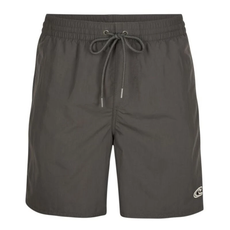 Oneill mens swim trunks 2025