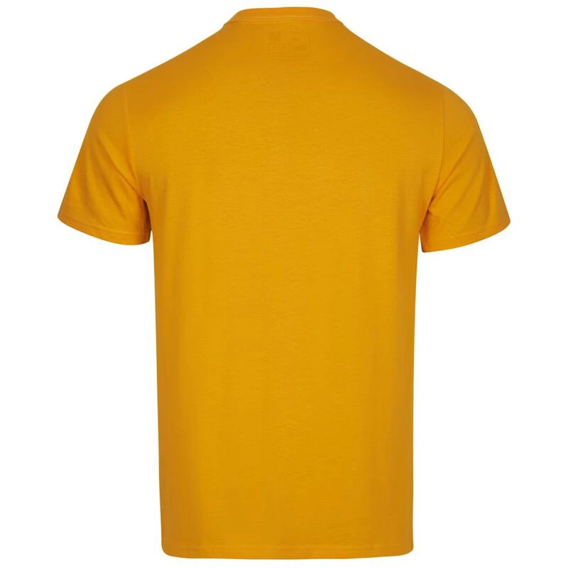O'Neill Mens Mtn Horizon T-Shirt (Old Gold) | Sportpursuit.com