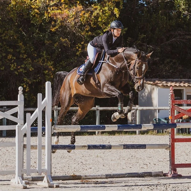 Shires - Cravache pour saut d'obstacles (Noir) - UTER1605 Shires - Cravache pour saut d'obstacles (Noir) - UTER1605