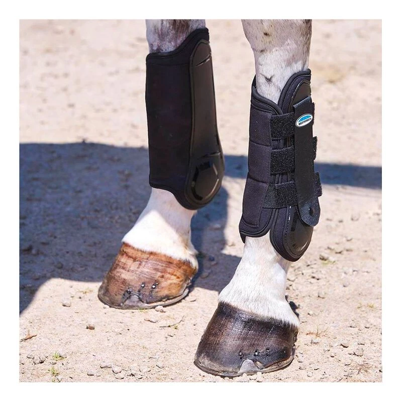 Weatherbeeta brushing boots cheap