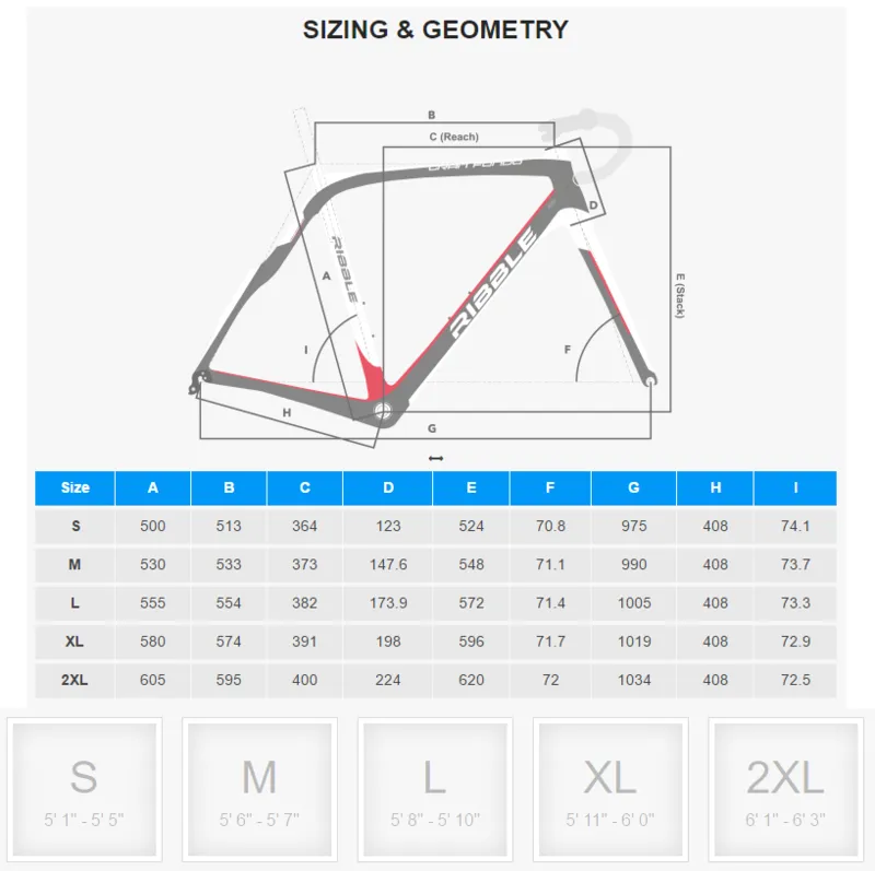Ribble size guide store