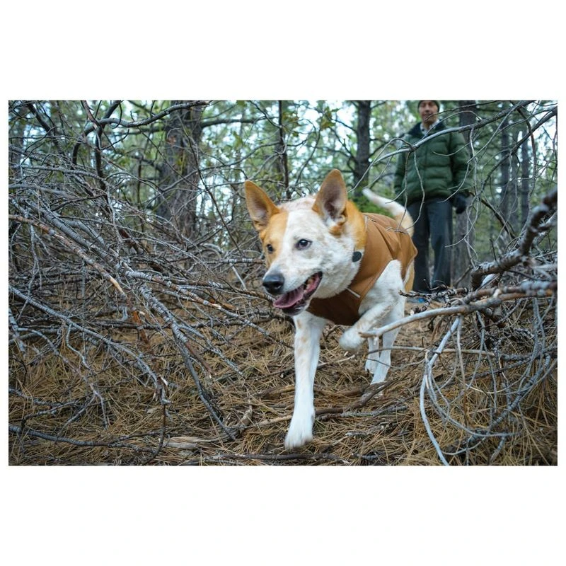 Ruffwear k9 shop overcoat dog jacket