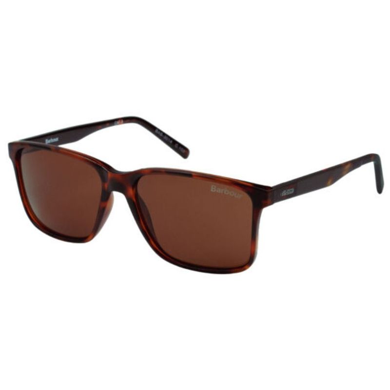 Occhiali da sole Uomo BAS-3014