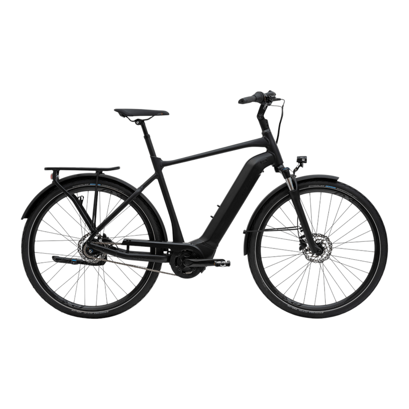 Bici trekking elettrica Uomo DailyTour E+ 2 GTS