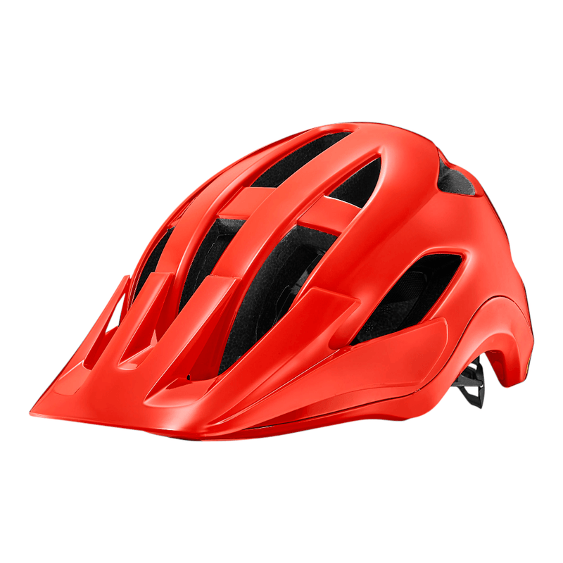 Casco da MTB Uomo Roost MIPS