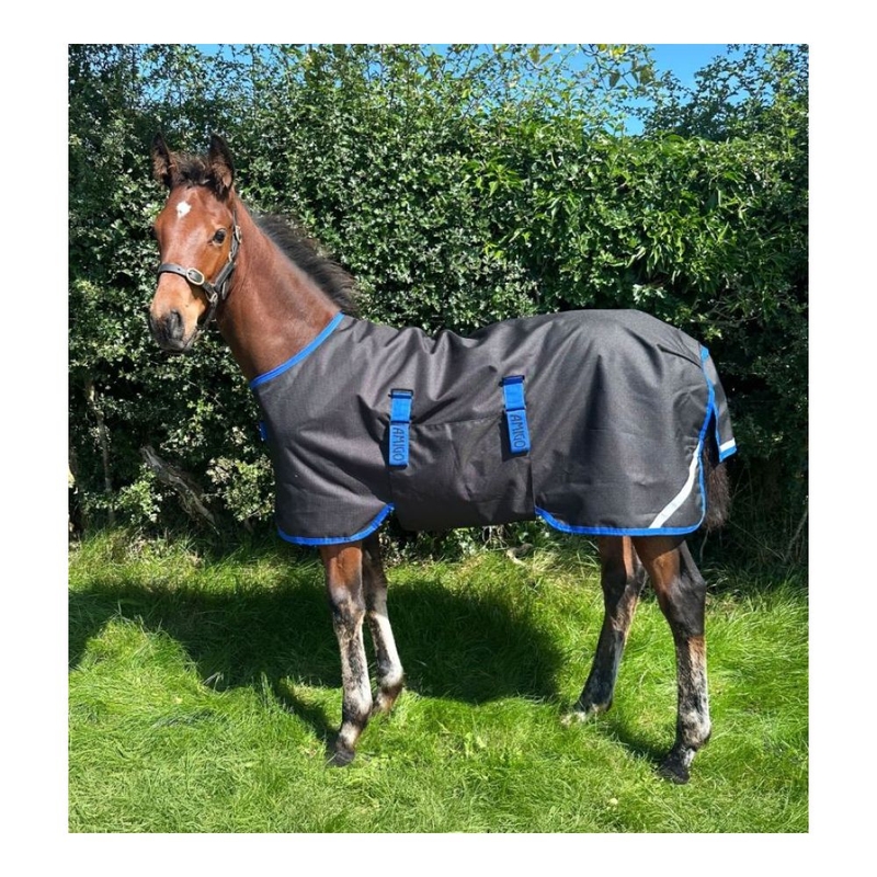 Coperta da paddock  Amigo Ripstop Foal 900D 50G