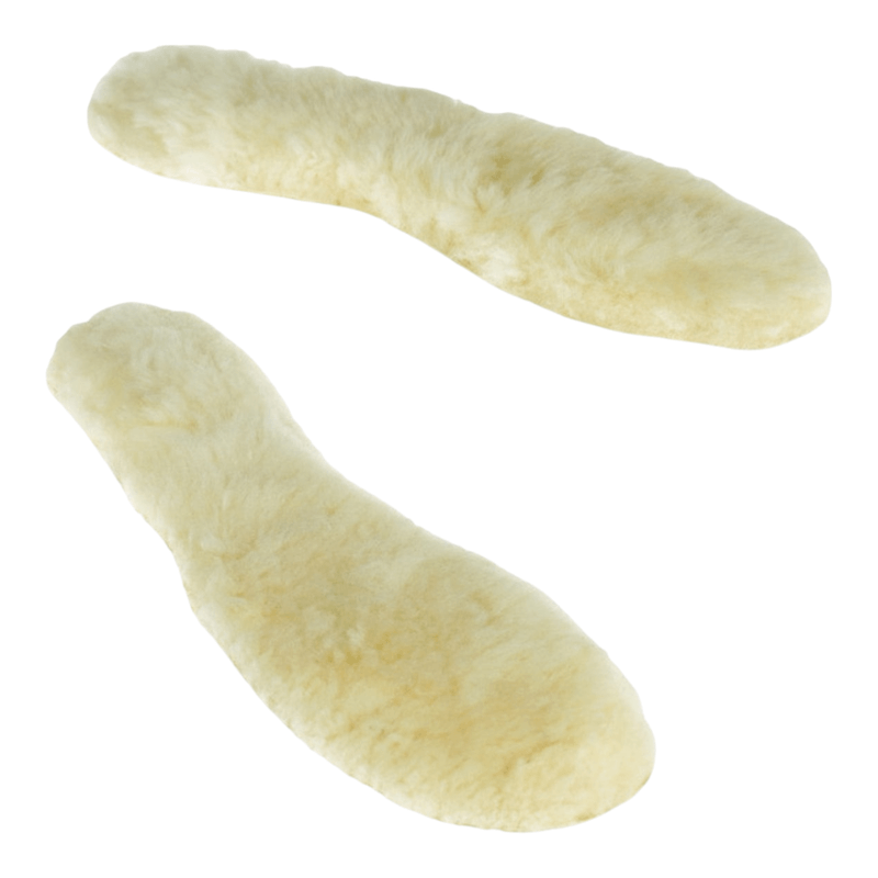 Plantari  38610