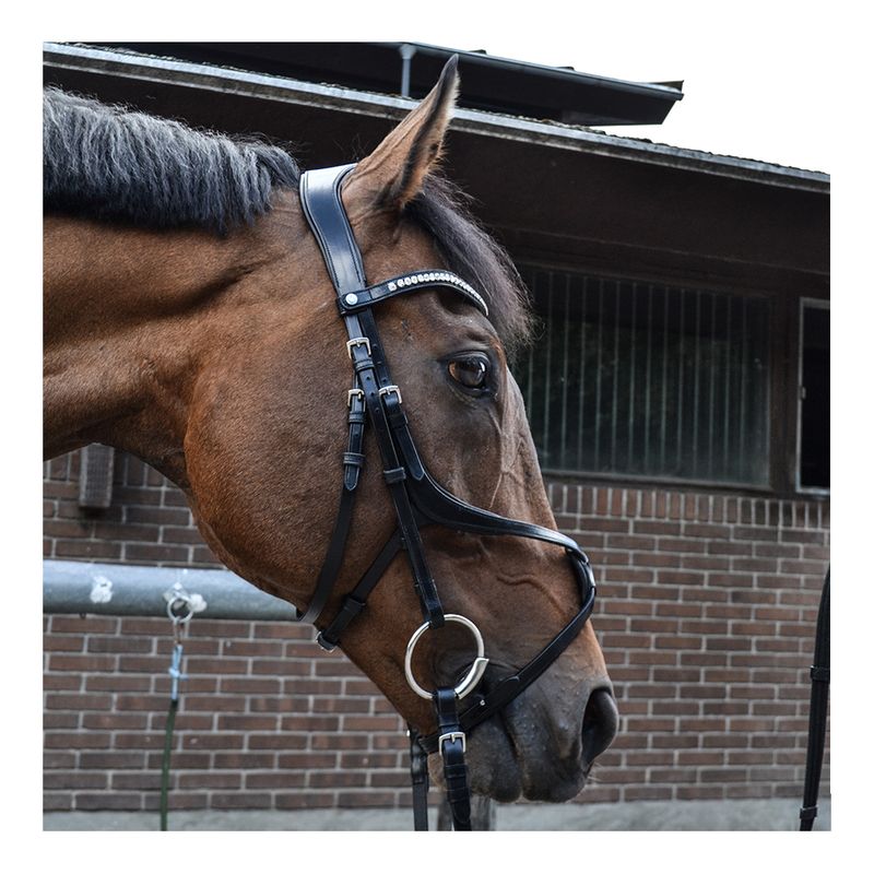 Kit finimenti & redini  Fair