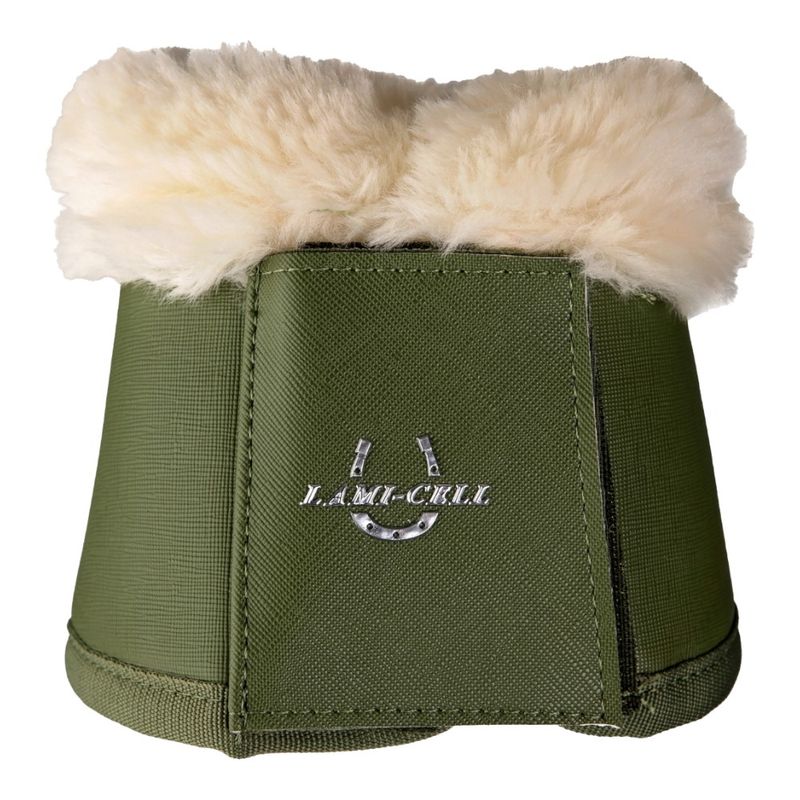 Paraglomi  LC
