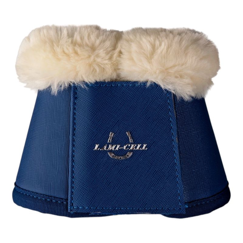 Paraglomi  LC