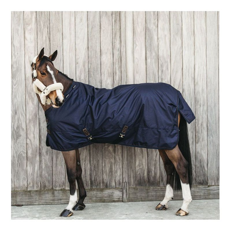 Coperta da paddock  All Weather Waterproof Pro 160G