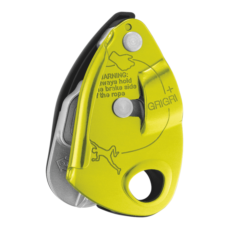 Assicuratore  Grigri +
