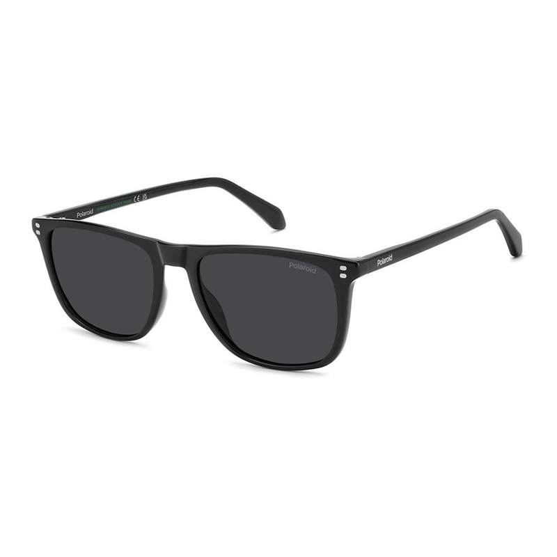 Occhiali lifestyle Uomo 4202/S