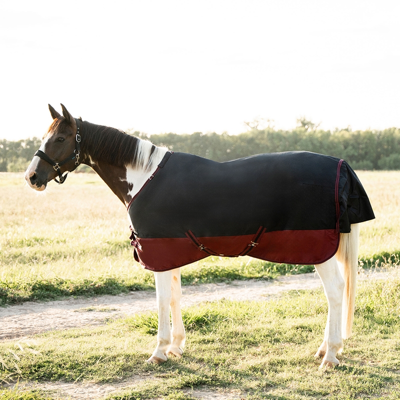 Coperta da paddock Deanna 600D 150G Deanna 600D 150G