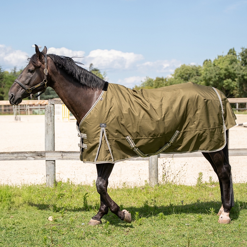 Coperta da paddock Darla 1200D 150G Darla 1200D 150G