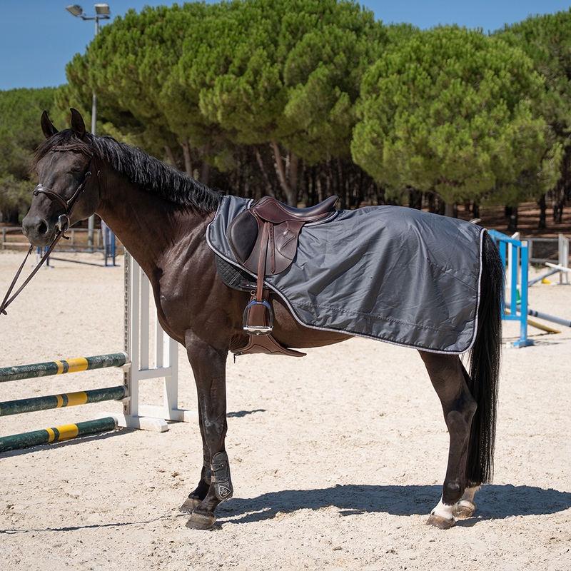 Attrezzatura equestre  Dorinne Exercise
