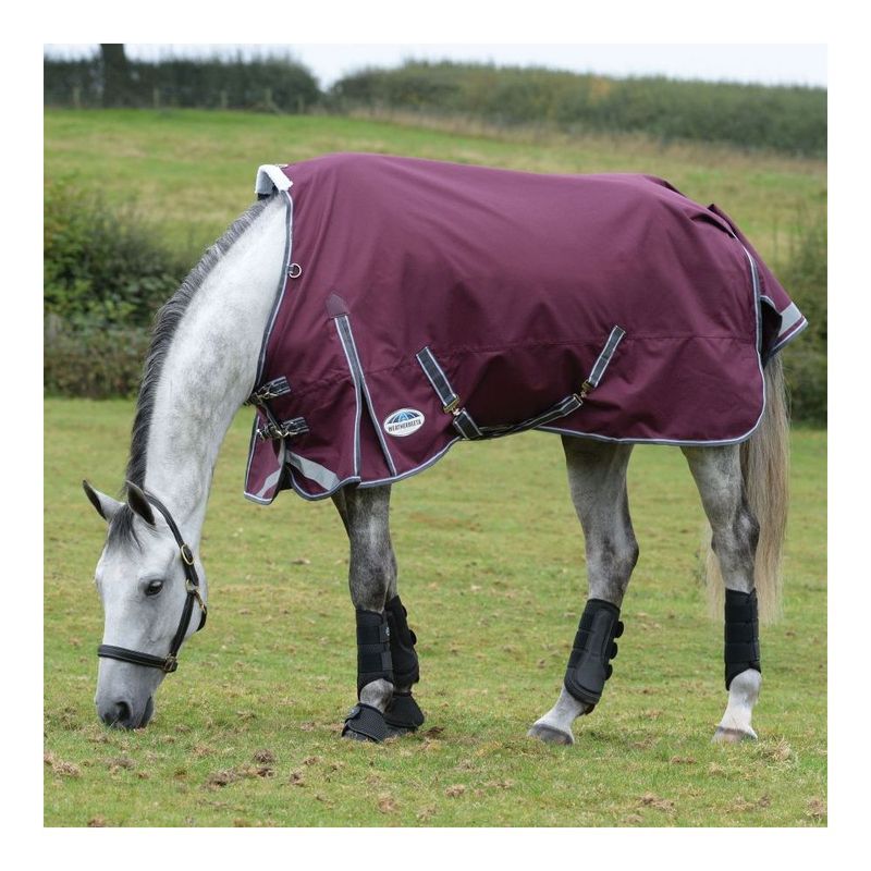 Coperta da paddock  Comfitec Plus Dynamic II STD Neck Medium/Lite 100G