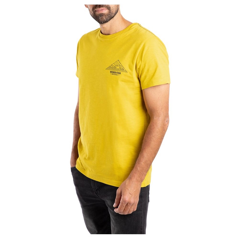 T-shirt maniche corte Uomo Pyramid View Back Print Graphic