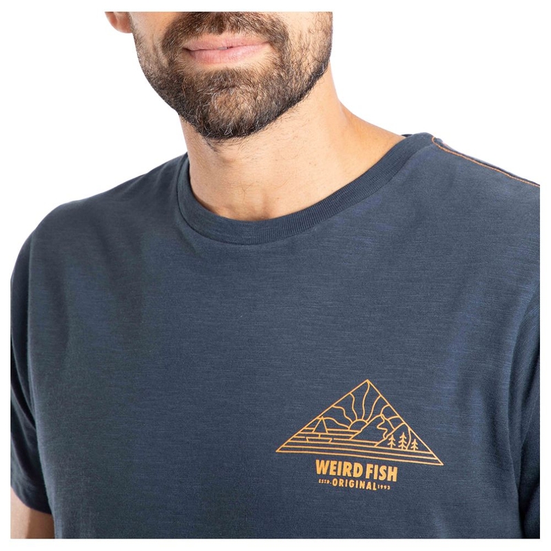 T-shirt maniche corte Uomo Pyramid View Back Print Graphic