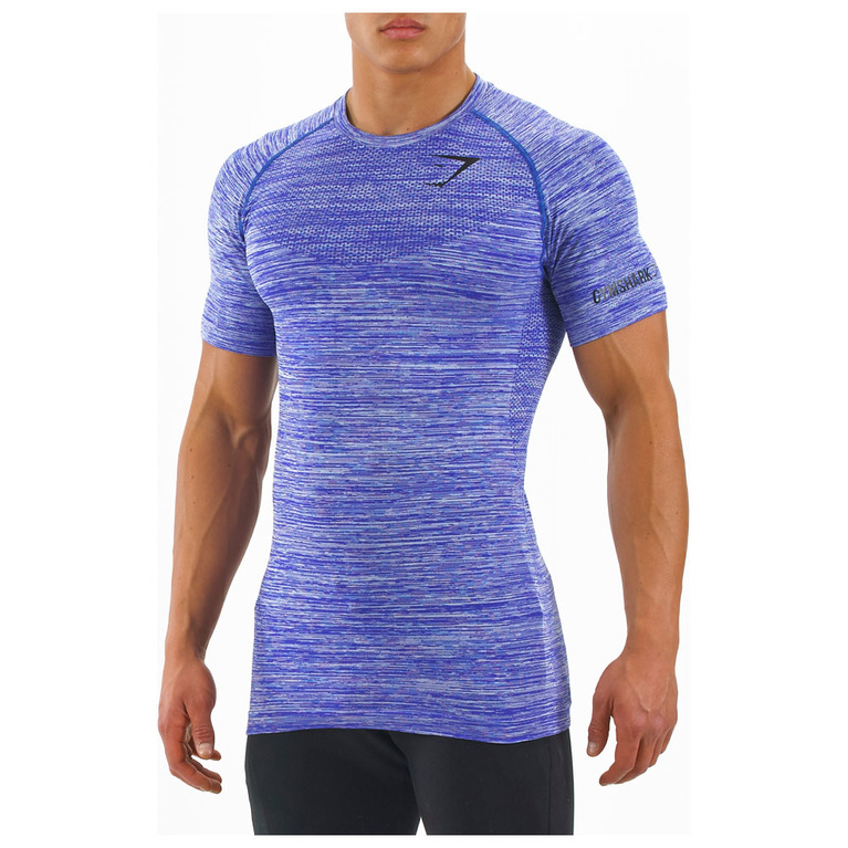 Gymshark Mens Fit Seamless T Shirt Amethyst 4235