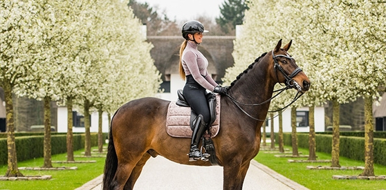 BR EQUITATION en promo sur PRIVATESPORTSHOP