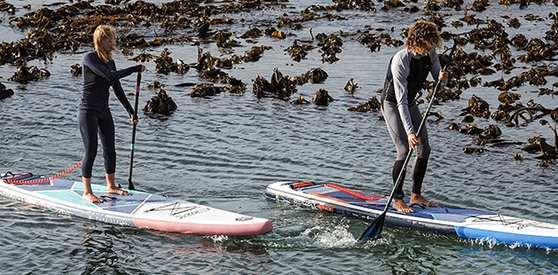 PROLIMIT en soldes chez SPORTPURSUIT
