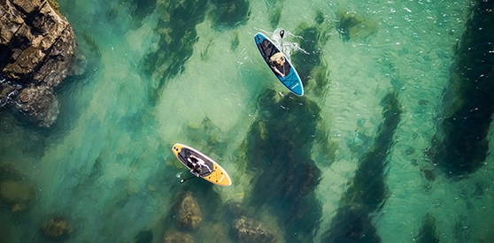 MAGASIN DE SURF en soldes chez PRIVATESPORTSHOP