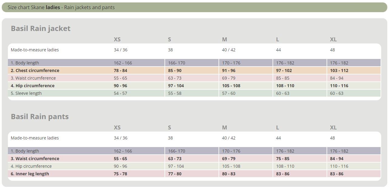 Basil Size Guide